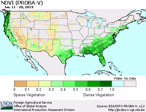 United States NDVI (PROBA-V) Thematic Map For 1/11/2019 - 1/20/2019