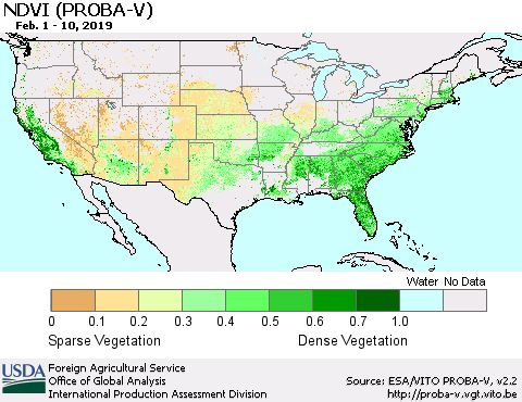 United States NDVI (PROBA-V) Thematic Map For 2/1/2019 - 2/10/2019