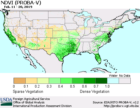 United States NDVI (PROBA-V) Thematic Map For 2/11/2019 - 2/20/2019