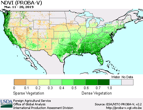 United States NDVI (PROBA-V) Thematic Map For 3/11/2019 - 3/20/2019