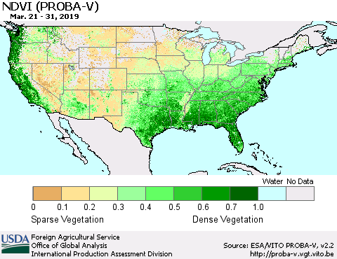 United States NDVI (PROBA-V) Thematic Map For 3/21/2019 - 3/31/2019