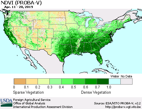 United States NDVI (PROBA-V) Thematic Map For 4/11/2019 - 4/20/2019