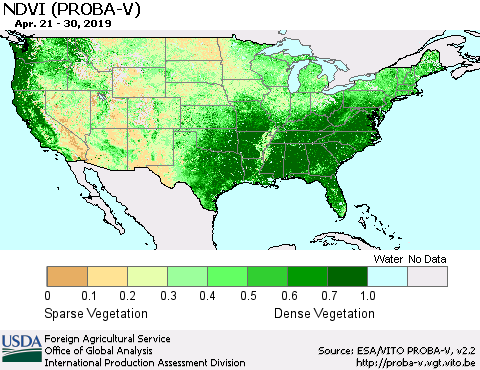 United States NDVI (PROBA-V) Thematic Map For 4/21/2019 - 4/30/2019