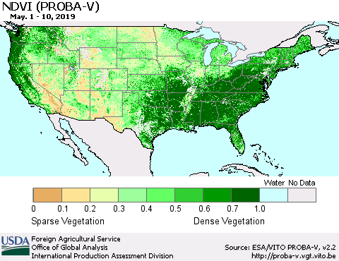 United States NDVI (PROBA-V) Thematic Map For 5/1/2019 - 5/10/2019