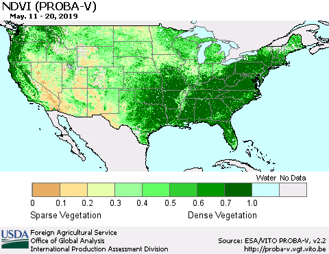 United States NDVI (PROBA-V) Thematic Map For 5/11/2019 - 5/20/2019