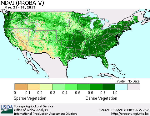 United States NDVI (PROBA-V) Thematic Map For 5/21/2019 - 5/31/2019