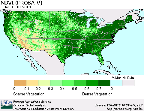 United States NDVI (PROBA-V) Thematic Map For 6/1/2019 - 6/10/2019