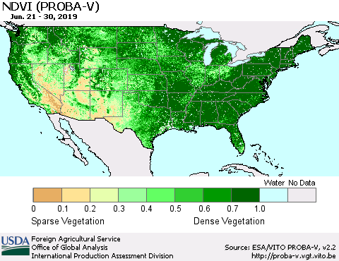 United States NDVI (PROBA-V) Thematic Map For 6/21/2019 - 6/30/2019