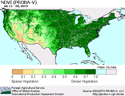United States NDVI (PROBA-V) Thematic Map For 7/11/2019 - 7/20/2019