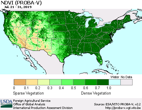 United States NDVI (PROBA-V) Thematic Map For 7/21/2019 - 7/31/2019
