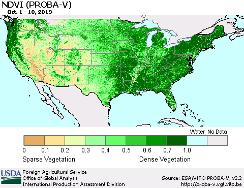 United States NDVI (PROBA-V) Thematic Map For 10/1/2019 - 10/10/2019