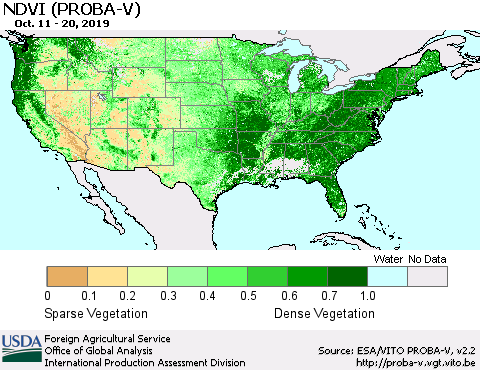 United States NDVI (PROBA-V) Thematic Map For 10/11/2019 - 10/20/2019