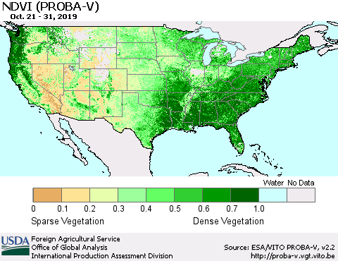 United States NDVI (PROBA-V) Thematic Map For 10/21/2019 - 10/31/2019