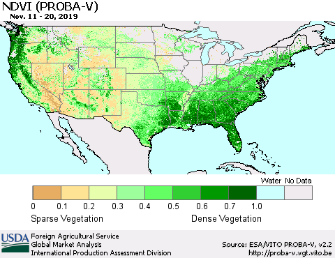 United States NDVI (PROBA-V) Thematic Map For 11/11/2019 - 11/20/2019