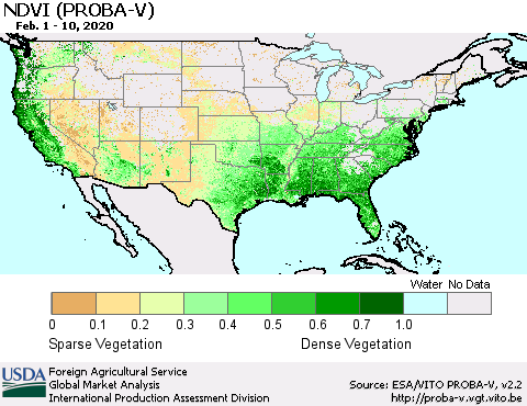 United States NDVI (PROBA-V) Thematic Map For 2/1/2020 - 2/10/2020