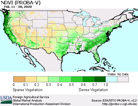 United States NDVI (PROBA-V) Thematic Map For 2/11/2020 - 2/20/2020