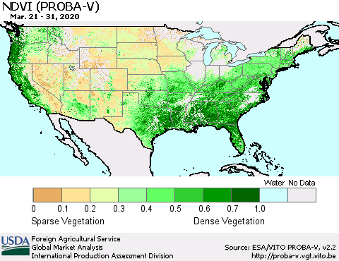 United States NDVI (PROBA-V) Thematic Map For 3/21/2020 - 3/31/2020