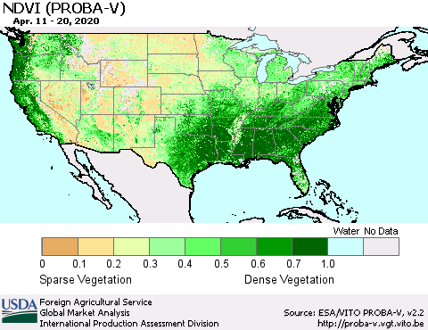 United States NDVI (PROBA-V) Thematic Map For 4/11/2020 - 4/20/2020