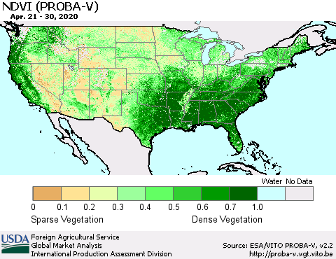 United States NDVI (PROBA-V) Thematic Map For 4/21/2020 - 4/30/2020