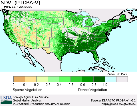 United States NDVI (PROBA-V) Thematic Map For 5/11/2020 - 5/20/2020