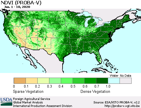 United States NDVI (PROBA-V) Thematic Map For 6/1/2020 - 6/10/2020