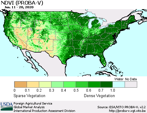 United States NDVI (PROBA-V) Thematic Map For 6/11/2020 - 6/20/2020
