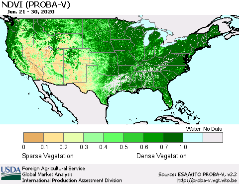 United States NDVI (PROBA-V) Thematic Map For 6/21/2020 - 6/30/2020