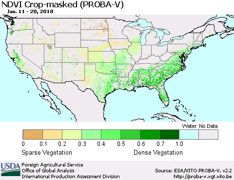 United States NDVI Crop-masked (PROBA-V) Thematic Map For 1/11/2018 - 1/20/2018