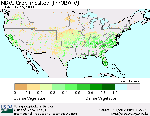 United States NDVI Crop-masked (PROBA-V) Thematic Map For 2/11/2018 - 2/20/2018