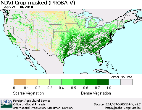 United States NDVI Crop-masked (PROBA-V) Thematic Map For 4/21/2018 - 4/30/2018