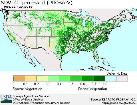 United States NDVI Crop-masked (PROBA-V) Thematic Map For 5/11/2018 - 5/20/2018
