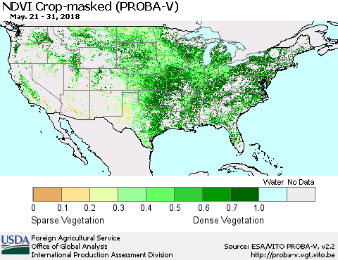 United States NDVI Crop-masked (PROBA-V) Thematic Map For 5/21/2018 - 5/31/2018