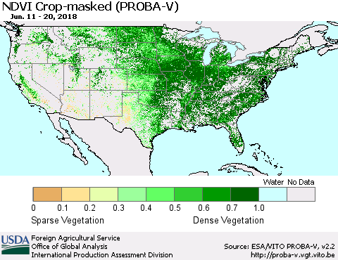 United States NDVI Crop-masked (PROBA-V) Thematic Map For 6/11/2018 - 6/20/2018