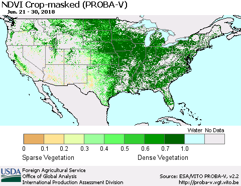 United States NDVI Crop-masked (PROBA-V) Thematic Map For 6/21/2018 - 6/30/2018