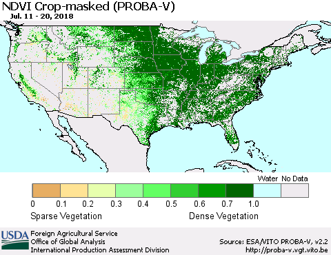 United States NDVI Crop-masked (PROBA-V) Thematic Map For 7/11/2018 - 7/20/2018