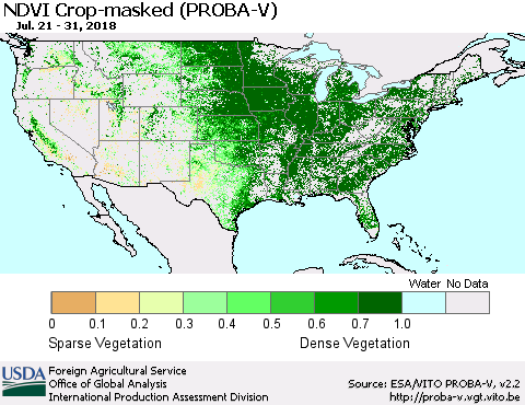 United States NDVI Crop-masked (PROBA-V) Thematic Map For 7/21/2018 - 7/31/2018