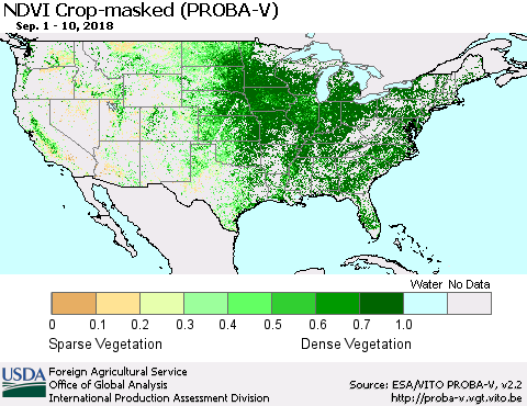 United States NDVI Crop-masked (PROBA-V) Thematic Map For 9/1/2018 - 9/10/2018