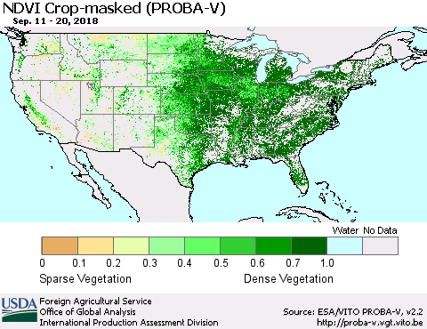 United States NDVI Crop-masked (PROBA-V) Thematic Map For 9/11/2018 - 9/20/2018