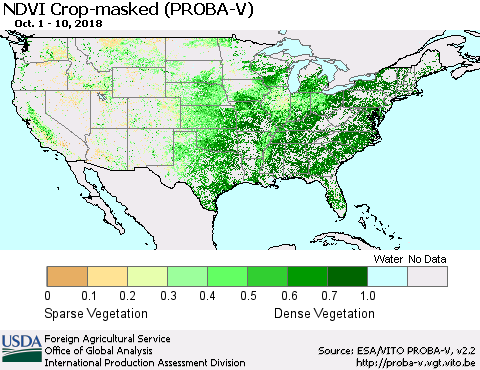 United States NDVI Crop-masked (PROBA-V) Thematic Map For 10/1/2018 - 10/10/2018