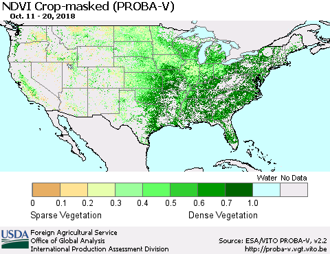 United States NDVI Crop-masked (PROBA-V) Thematic Map For 10/11/2018 - 10/20/2018