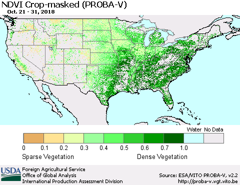 United States NDVI Crop-masked (PROBA-V) Thematic Map For 10/21/2018 - 10/31/2018