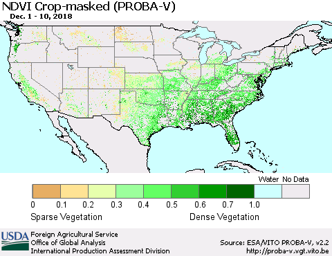 United States NDVI Crop-masked (PROBA-V) Thematic Map For 12/1/2018 - 12/10/2018