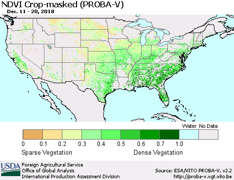 United States NDVI Crop-masked (PROBA-V) Thematic Map For 12/11/2018 - 12/20/2018