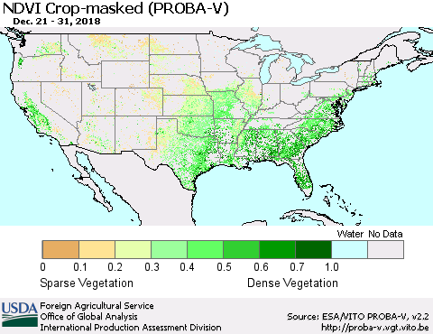 United States NDVI Crop-masked (PROBA-V) Thematic Map For 12/21/2018 - 12/31/2018