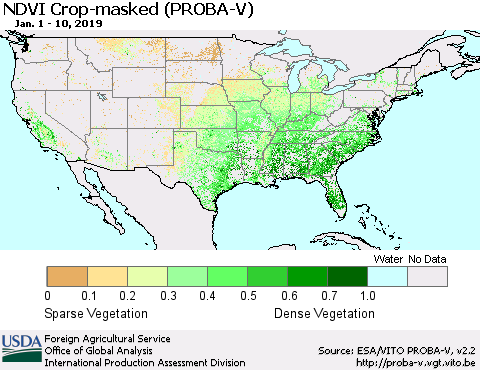 United States NDVI Crop-masked (PROBA-V) Thematic Map For 1/1/2019 - 1/10/2019