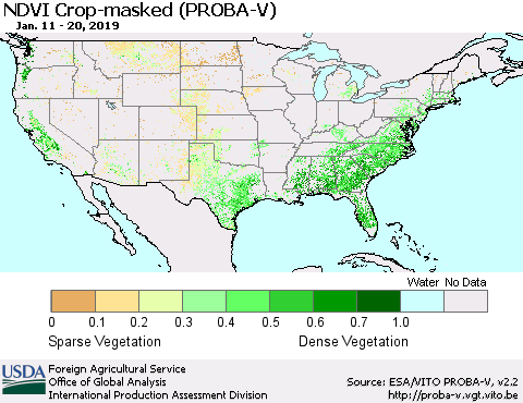 United States NDVI Crop-masked (PROBA-V) Thematic Map For 1/11/2019 - 1/20/2019