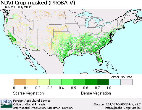 United States NDVI Crop-masked (PROBA-V) Thematic Map For 1/21/2019 - 1/31/2019