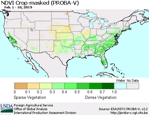 United States NDVI Crop-masked (PROBA-V) Thematic Map For 2/1/2019 - 2/10/2019