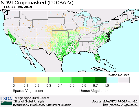 United States NDVI Crop-masked (PROBA-V) Thematic Map For 2/11/2019 - 2/20/2019