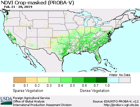 United States NDVI Crop-masked (PROBA-V) Thematic Map For 2/21/2019 - 2/28/2019